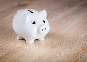 Piglet Piggy Bank Economical Finance Save Ceramic