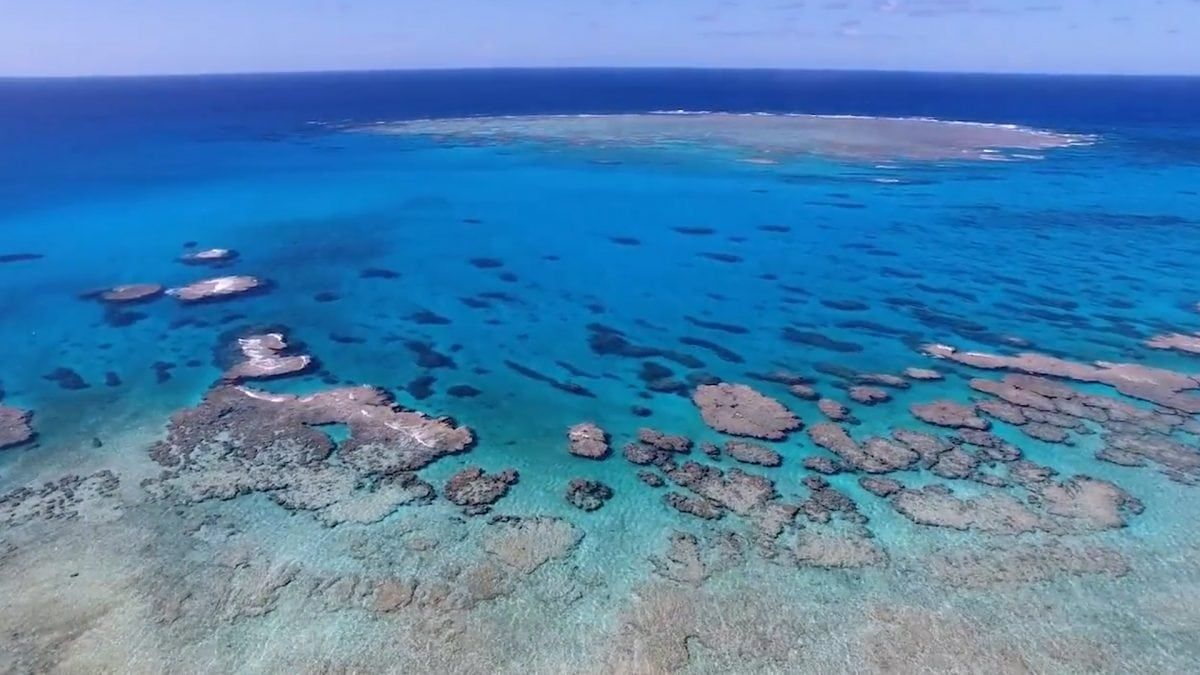 ‘Just 13 per cent of the world’s oceans can still be classified as wilderness’