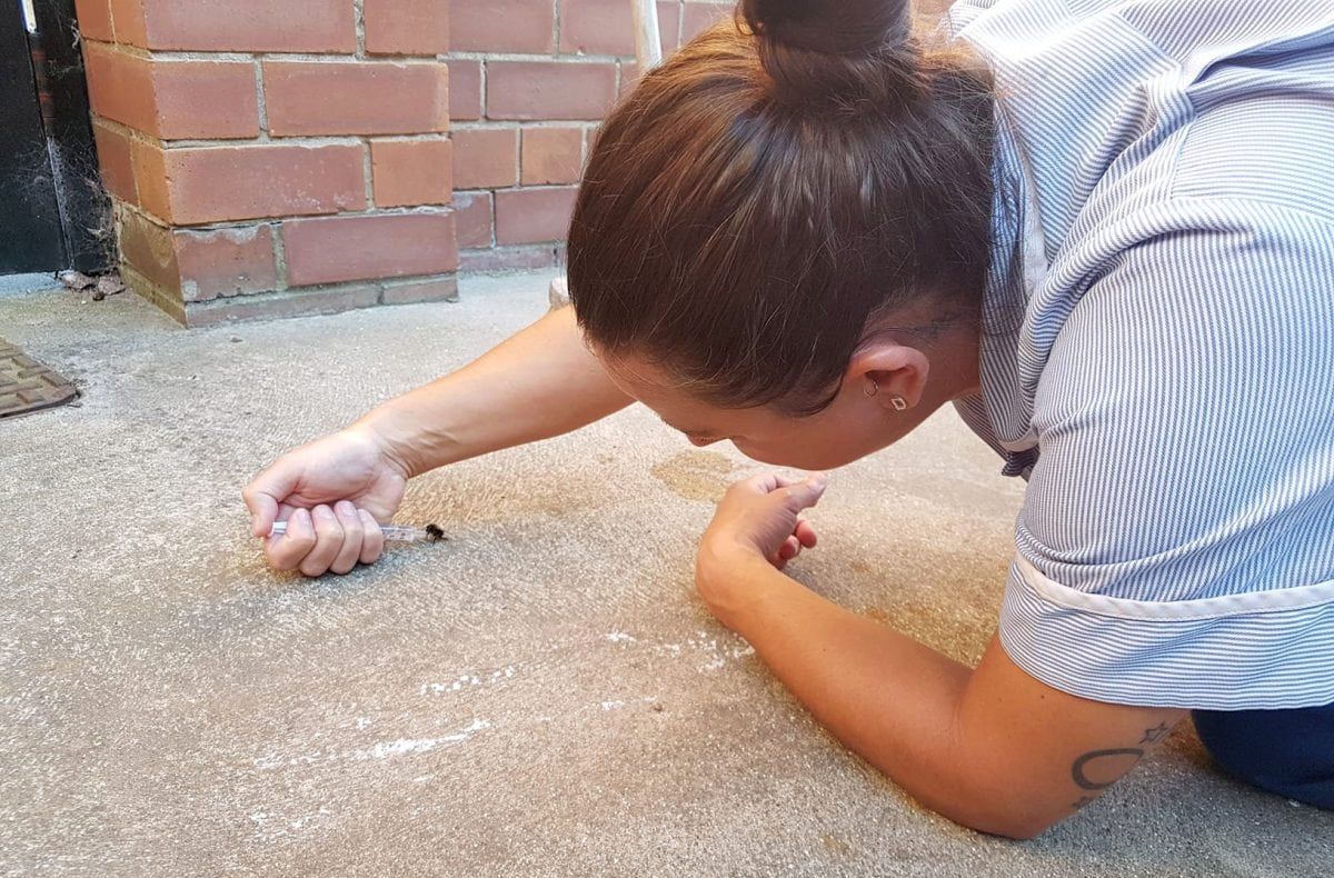 Veterinary nurse rescues a bumble bee dying of thirst in the heatwave