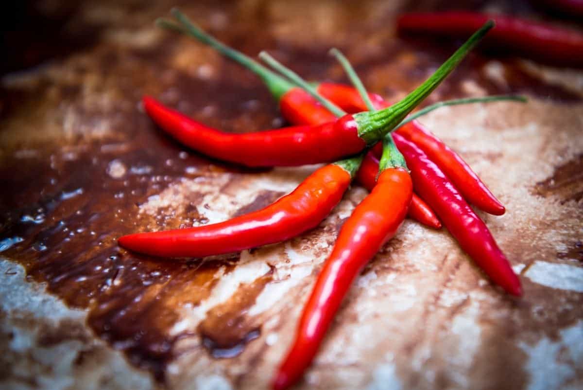 Hot chillies could be the next weapon in the battle of the bulge caused by a fatty diet