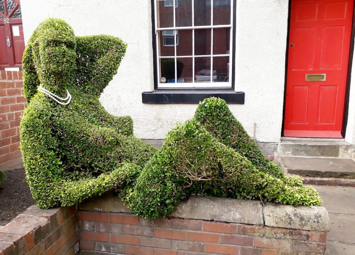 Man has to make regular repairs to a hedge as people keep pretending to have sex with it