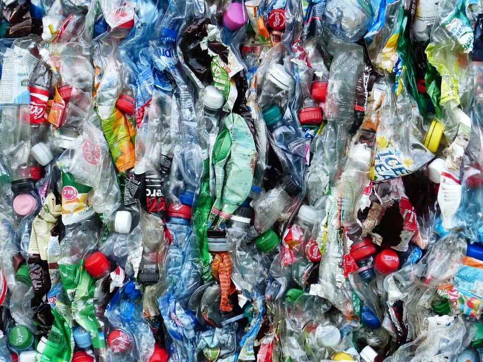 Litter-pickers team up with scientists to create plastic pollution ‘gold standard’