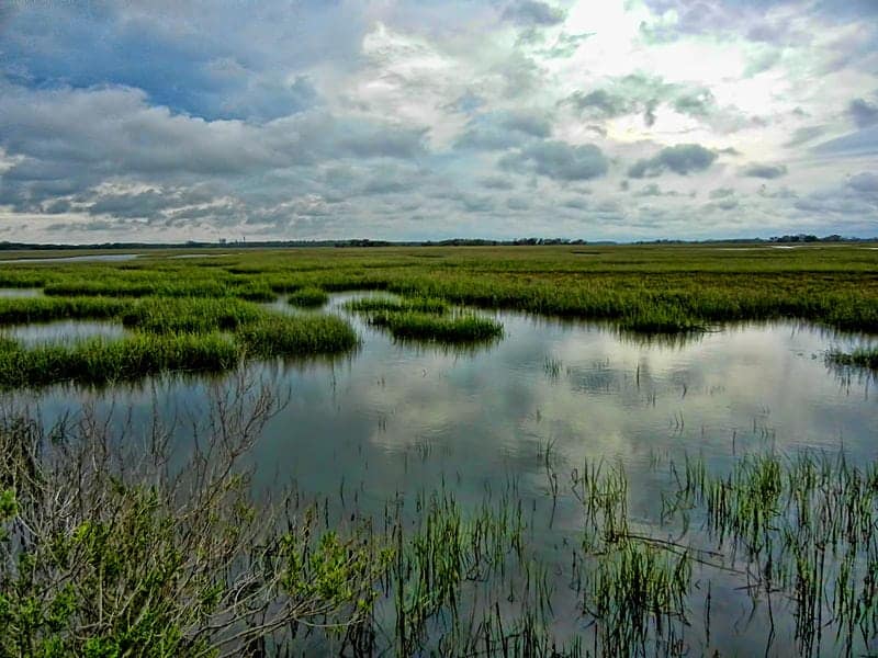 Britain’s salt marshes ‘could disappear if greenhouse gases are not tackled’