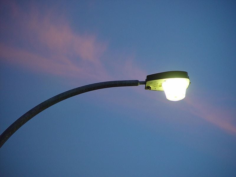 Streetlights have forced animals & plants to change their eating habits, scientists discovered