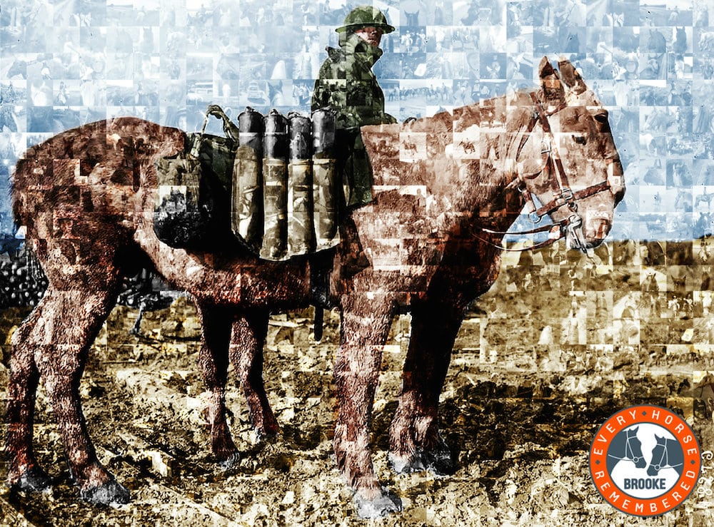 Horse lovers around the UK create photo mosaic to remember war horses