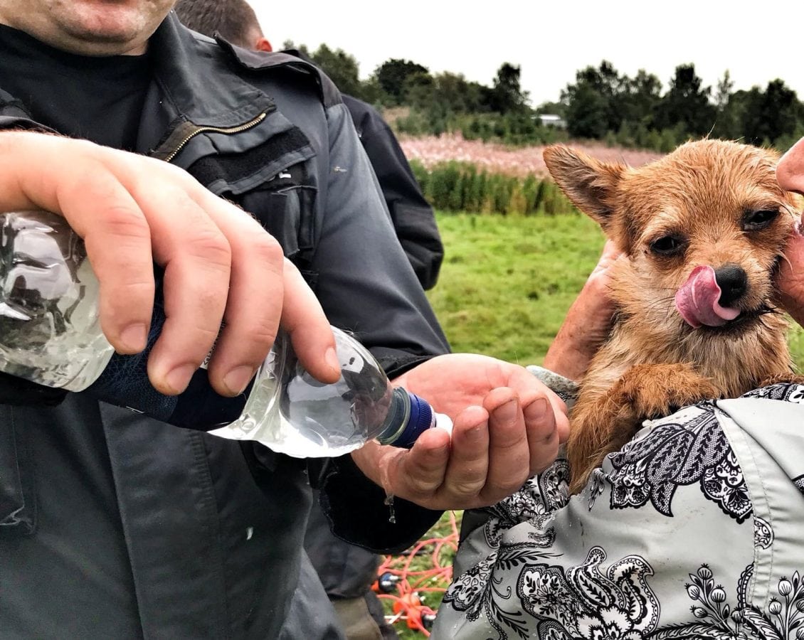 Firefighters rescue little dog trapped down underground rabbit warren – by listening for his heartbeat