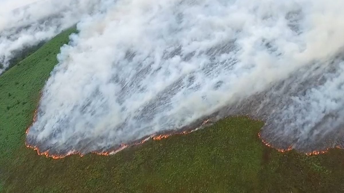 Watch – Drone footage shows entire mountainside engulfed in flames in a wildfire