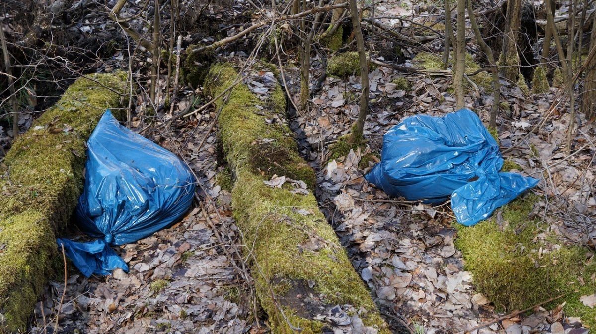 Plastic bags ‘fuelling global warming’