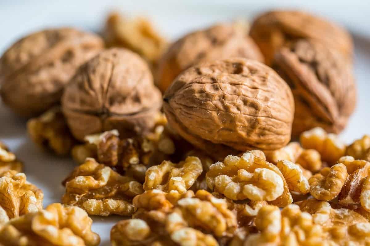Familiar fruits & nuts ‘cultivated in Central Asia more than a millennium ago’
