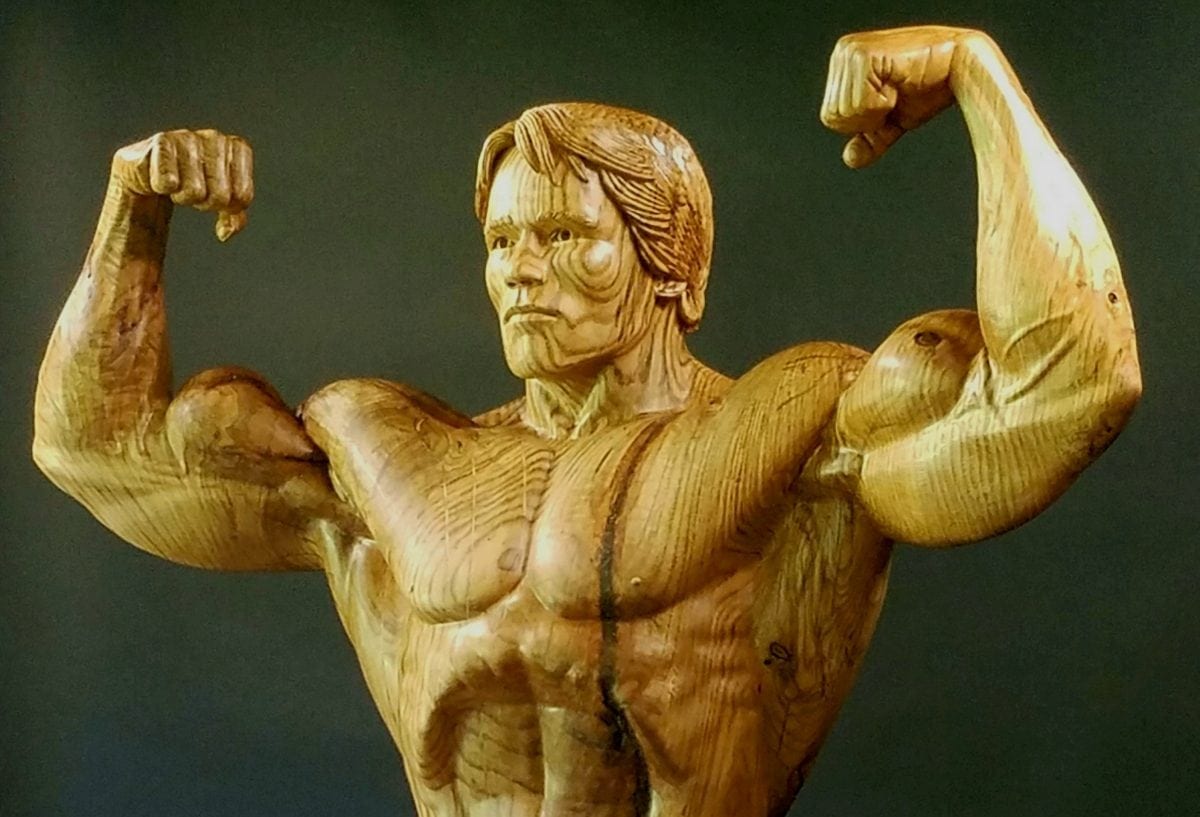 How to: Arnold 🏋🏻‍♂️ #fyp #gymtok #posing | TikTok