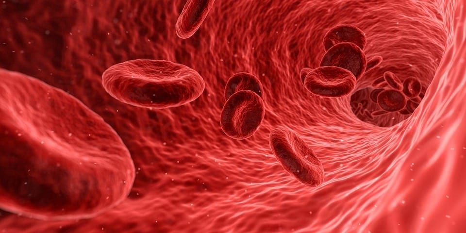 New Biomarker Panel Could Accelerate >> Autism Detection Breakthrough New Biomarker Panel Could Accelerate >> Autism Detection Breakthrough