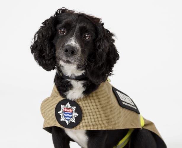 New revamp for London firefighters – and their dogs