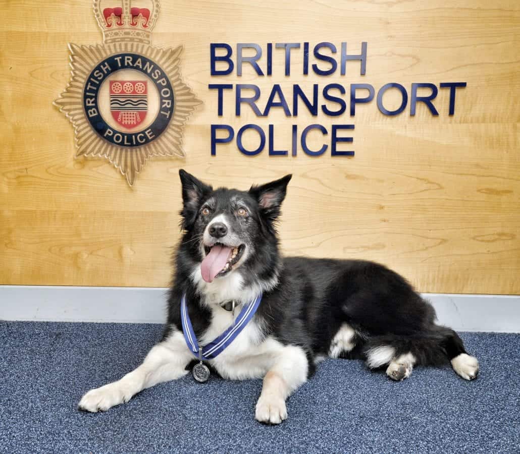 Police dog first on the scene at terror attack in Manchester Arena to be honoured
