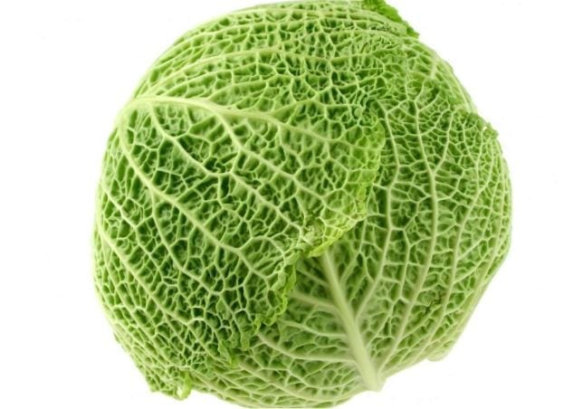 Police confirm they are investigating cabbage attack during Aston Villa match against Preston North End