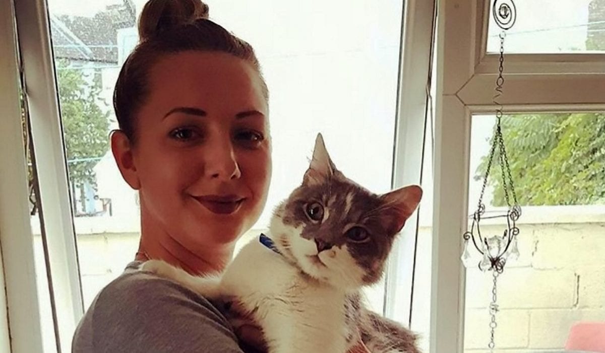 Fears new cat killer is on the loose on south coast