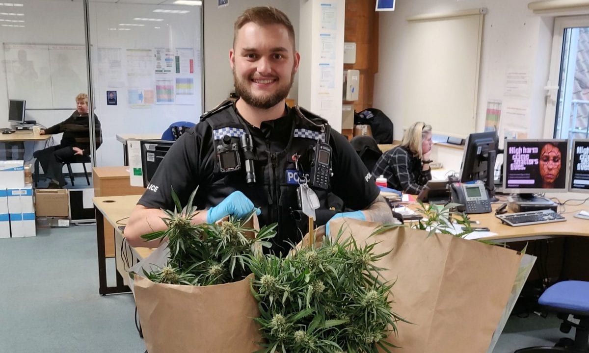 Police officer appeared to be in very high spirits when photographed with bags of weed