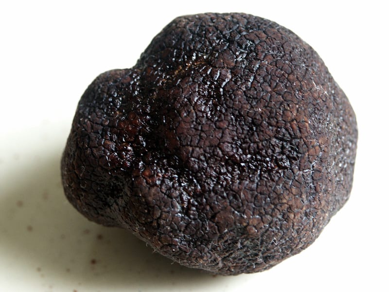 Truffles “will be extinct within a generation due to climate change”