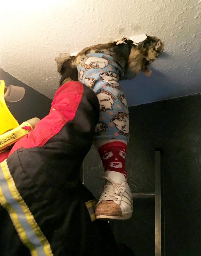 Firefighters rescue woman who fell through ceiling looking for Xmas decorations in loft