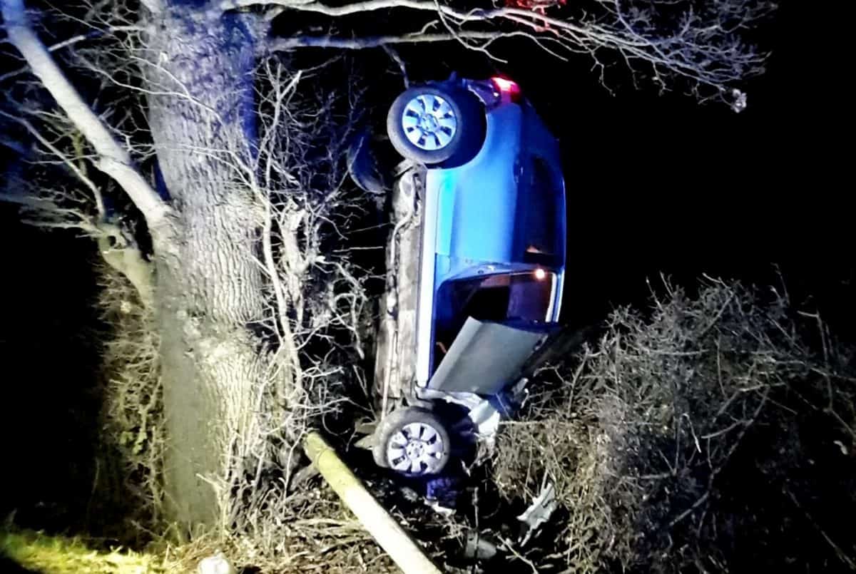Sozzled driver crashes car and flips it into a tree