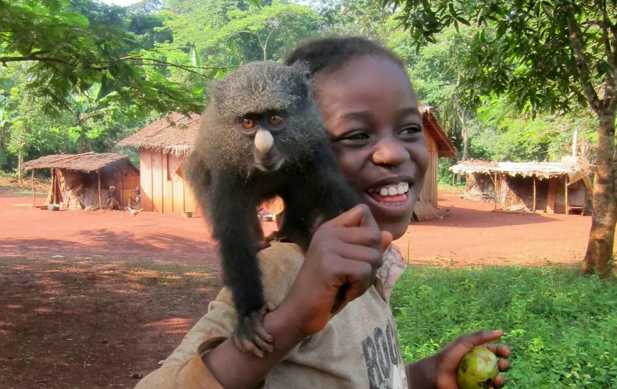 Contact with wild monkeys and apes puts humans at risk of new diseases like deadly Ebola virus