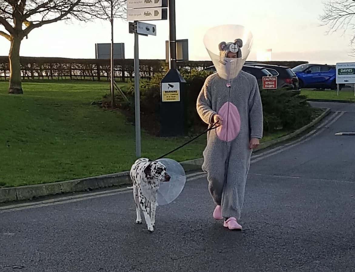 Vet dresses as giant mouse to calm nervous rescue dog