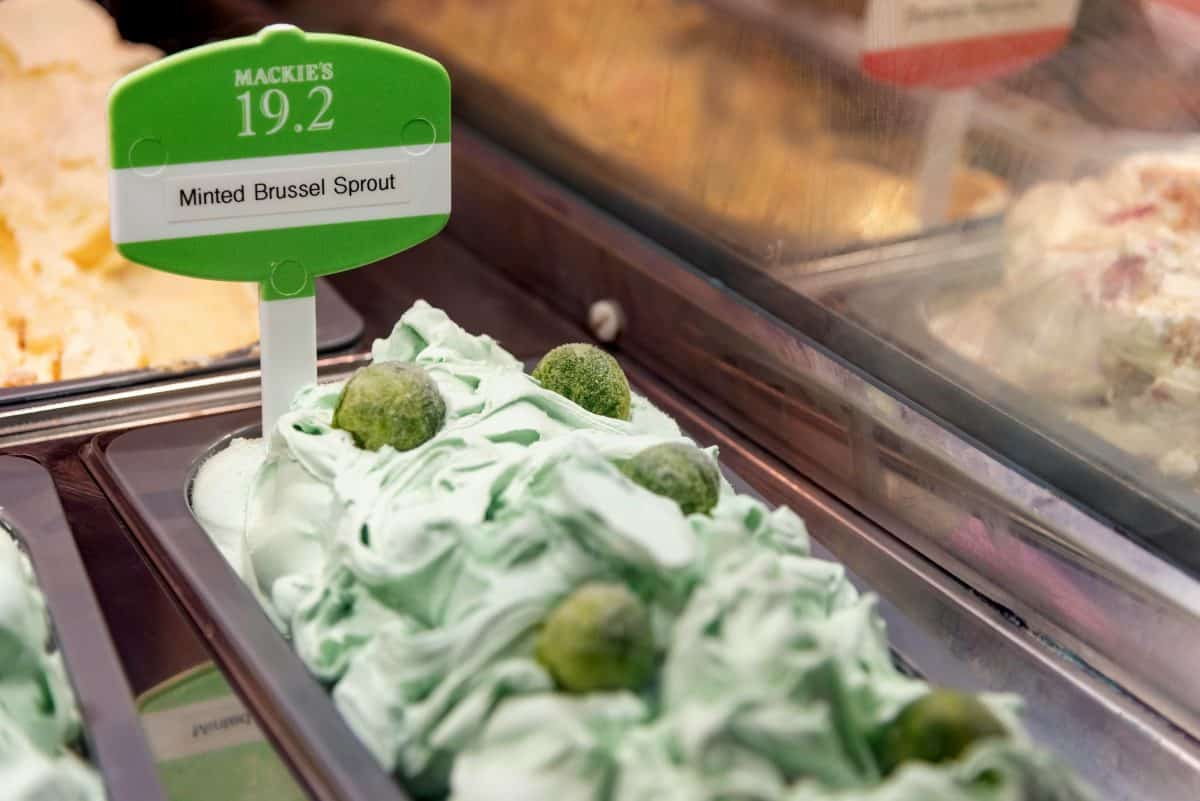 Ice cream made with SPROUTS is on menu in Scottish cafe