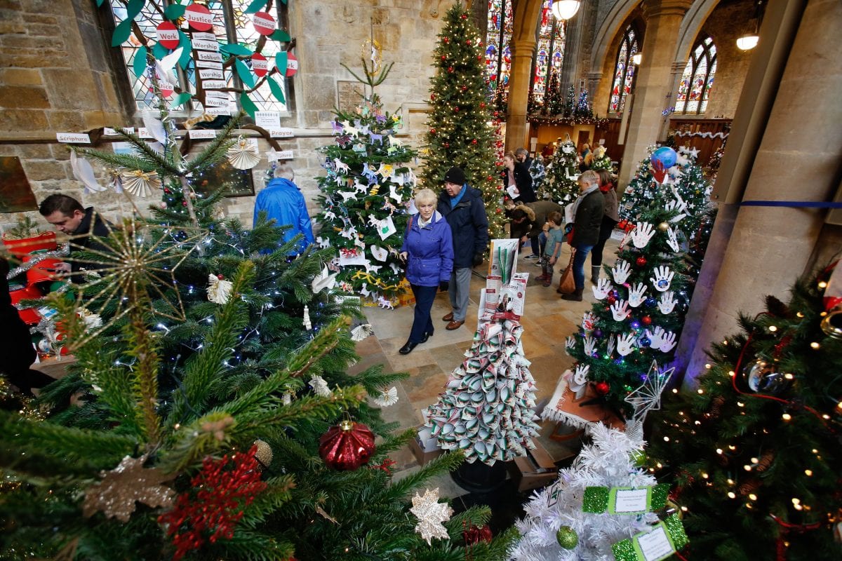 Britain’s biggest Christmas tree festival gets under way
