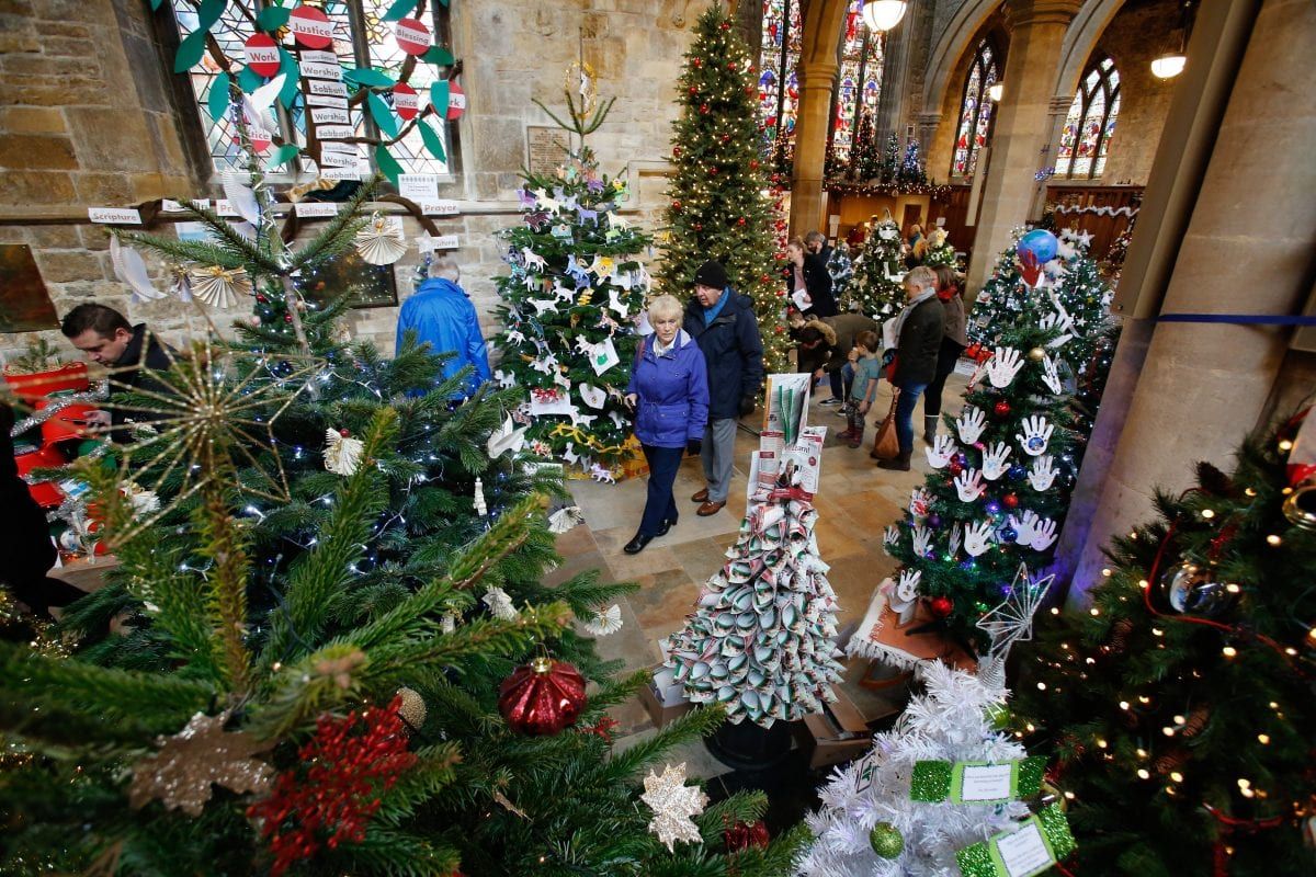 Britain's biggest Christmas tree festival gets under way