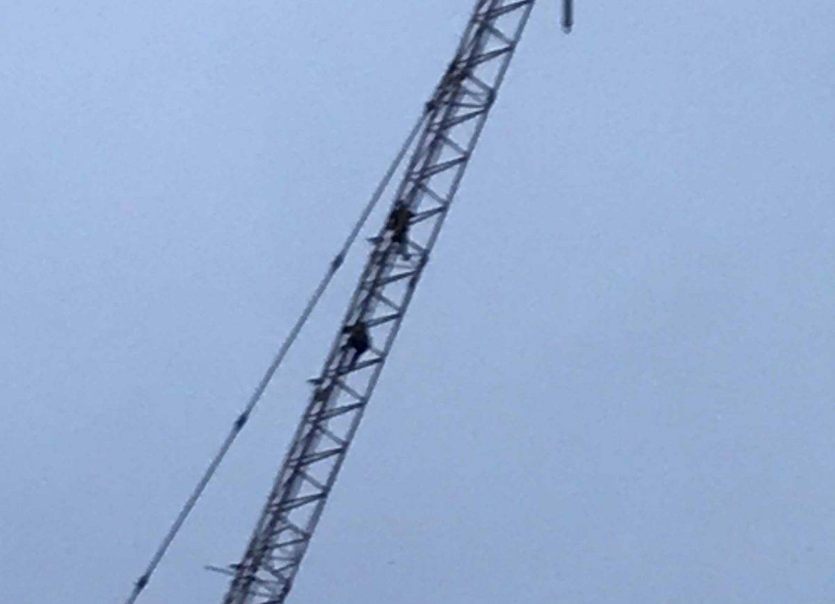 Senseless thrill-seekers bring London traffic to standstill after climbing 200ft crane