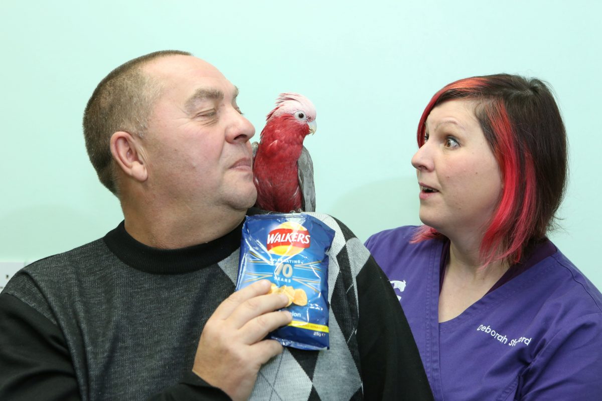 Cockatoo has been banned from eating crisps