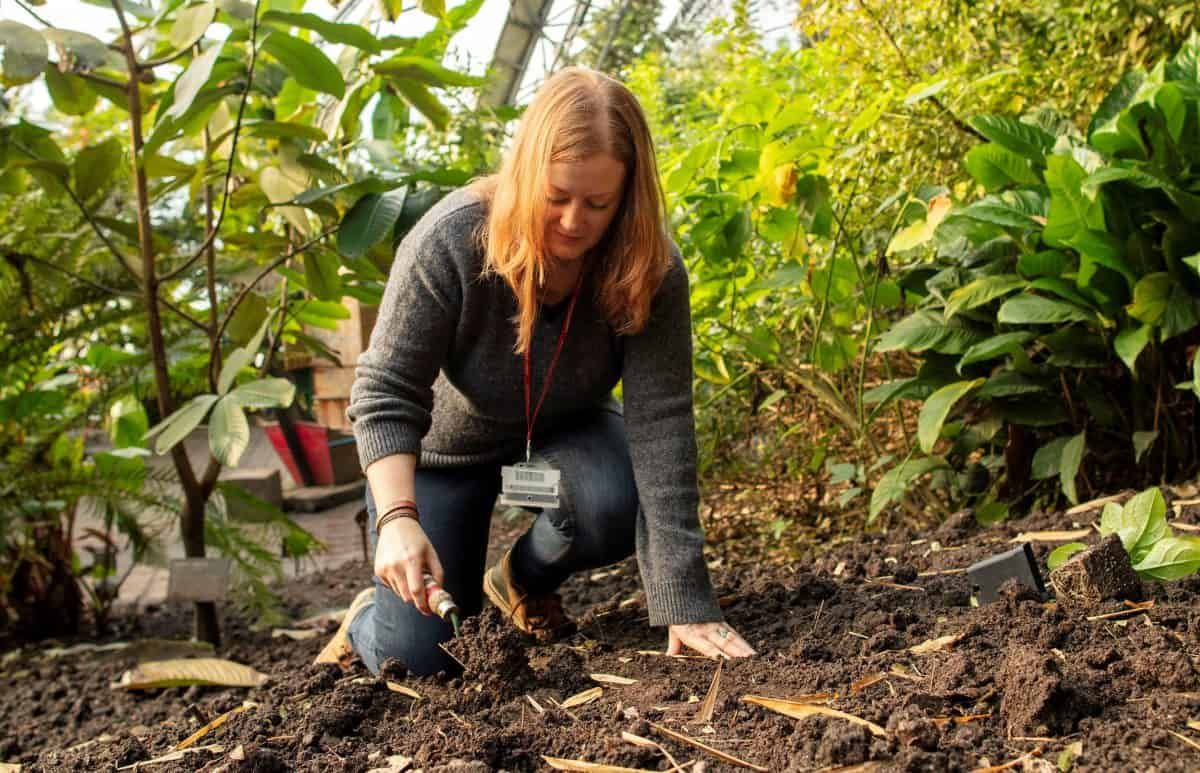 Man-made soils ‘could be key to global food security’