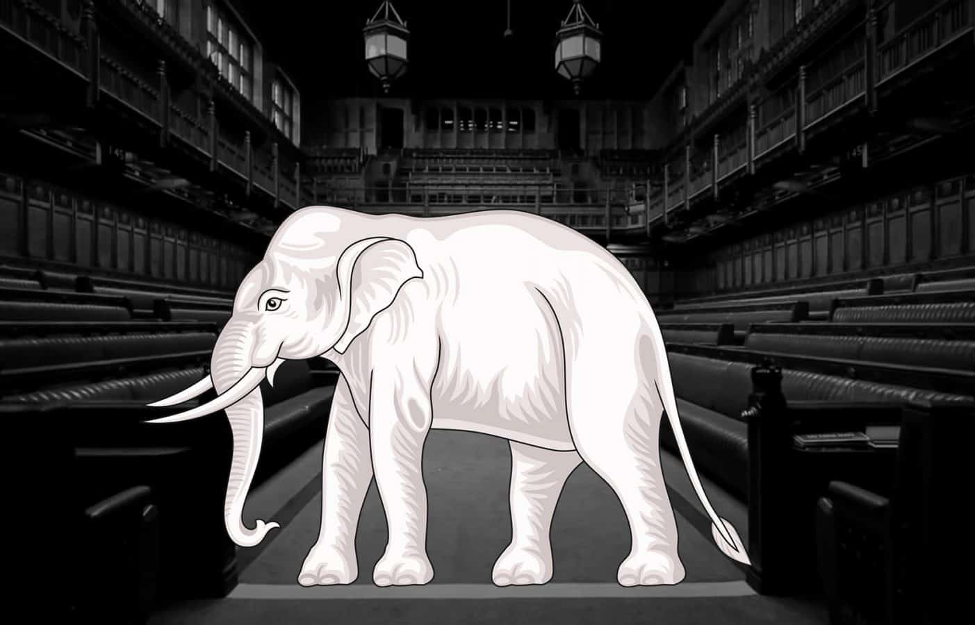 It’s time for May to face up to the white elephant in the room