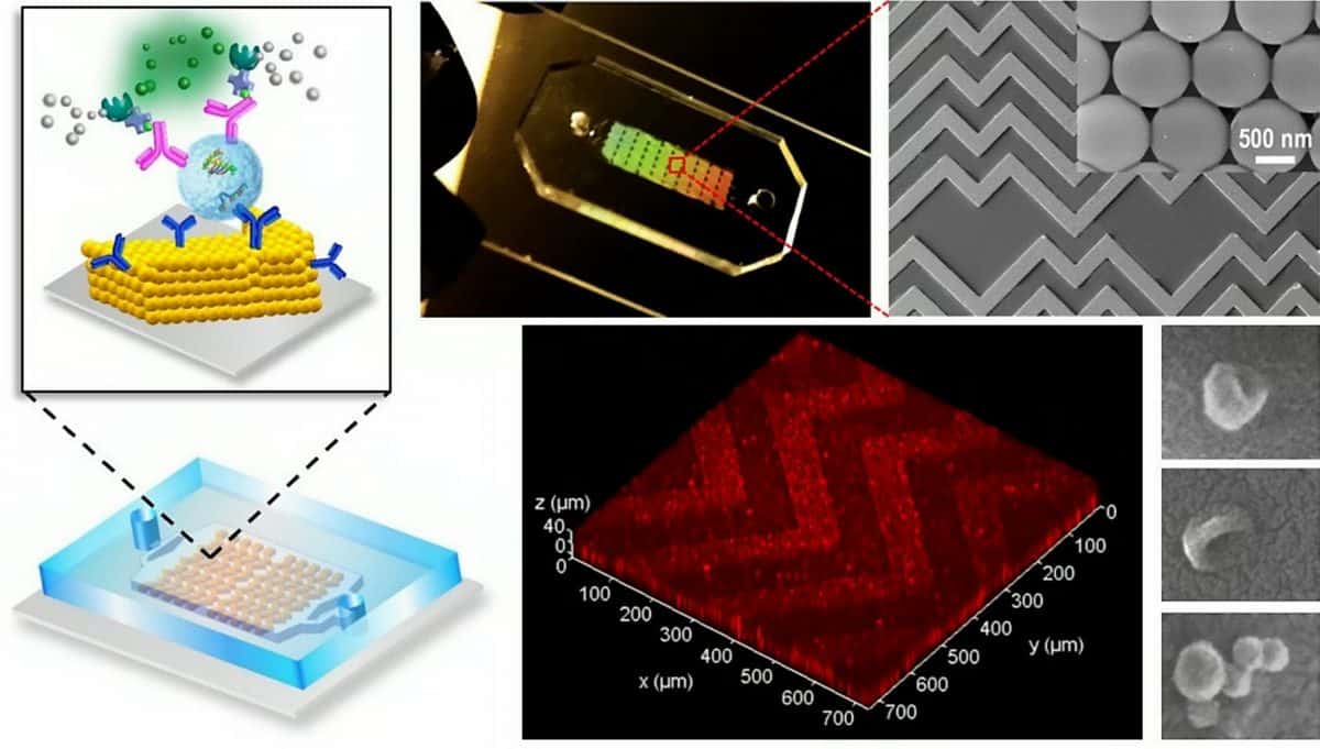 A lab-on-a-chip that can detect cancer early from a drop of blood has been unveiled by scientists