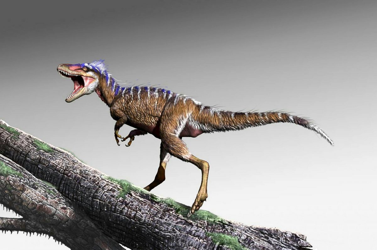 Tiny ancestor of king of the dinosaurs discovered