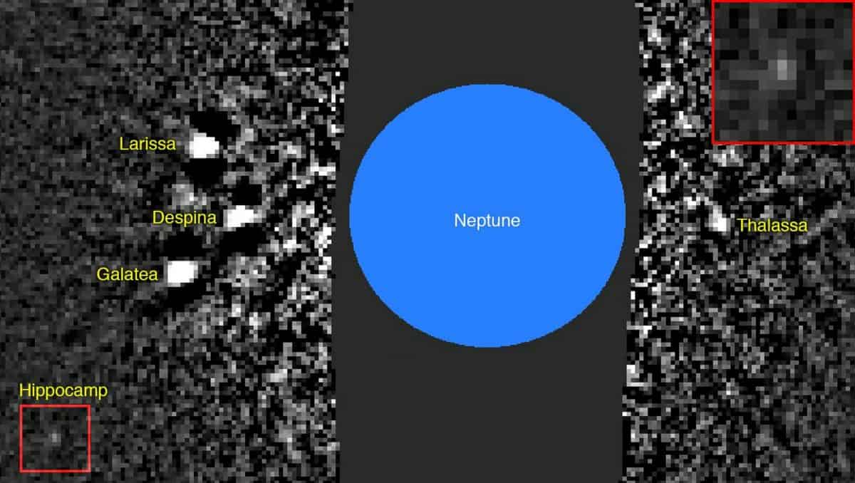 New moon discovered orbiting Neptune