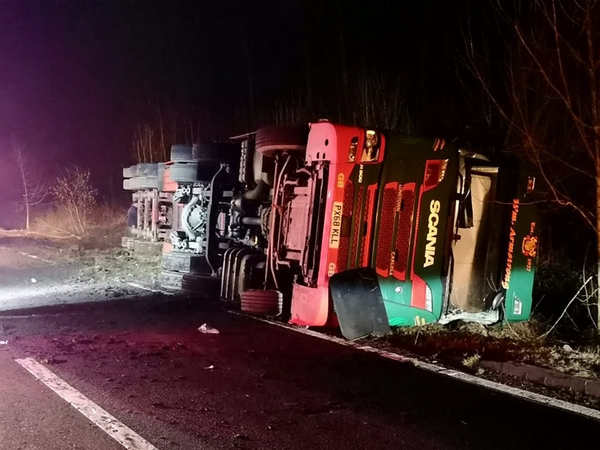More than 200 sheep have been killed in a road accident after a lorry overturned