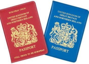 Poundland passport. Source Poundland