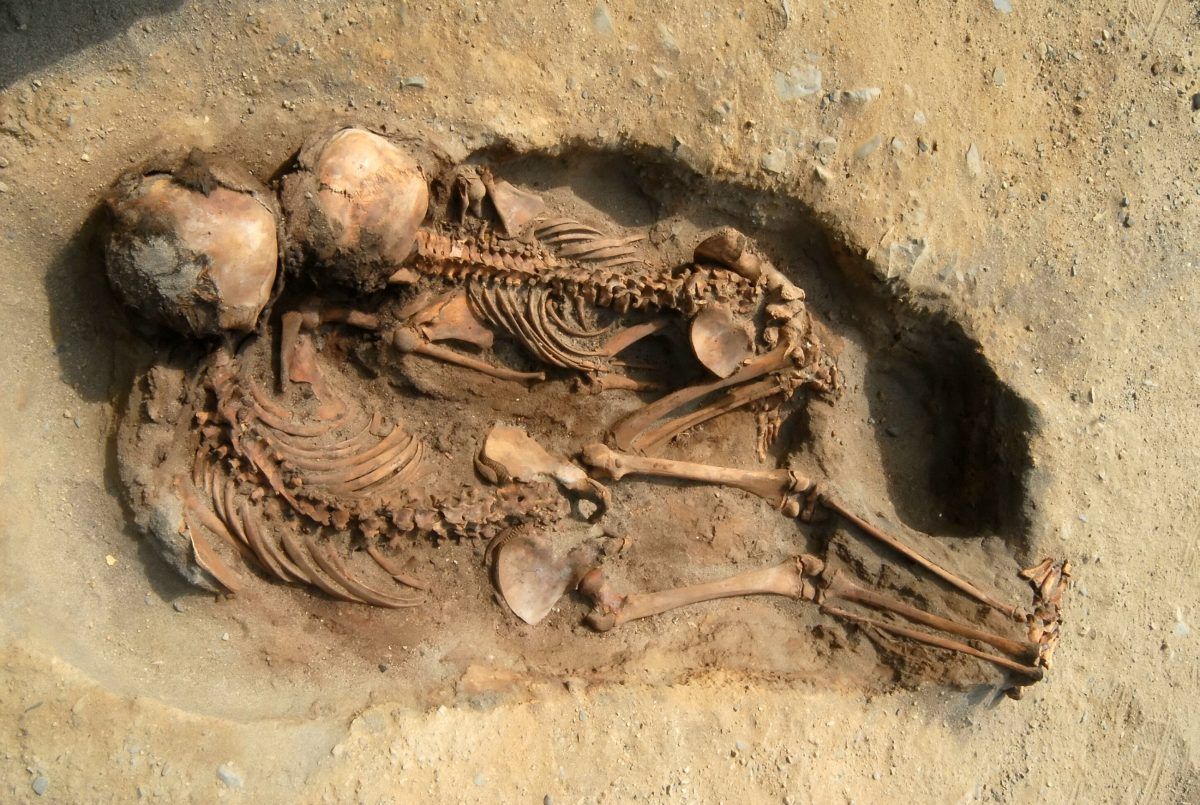 Hundreds of children had their hearts cut out in biggest mass sacrifice ever discovered in The Americas