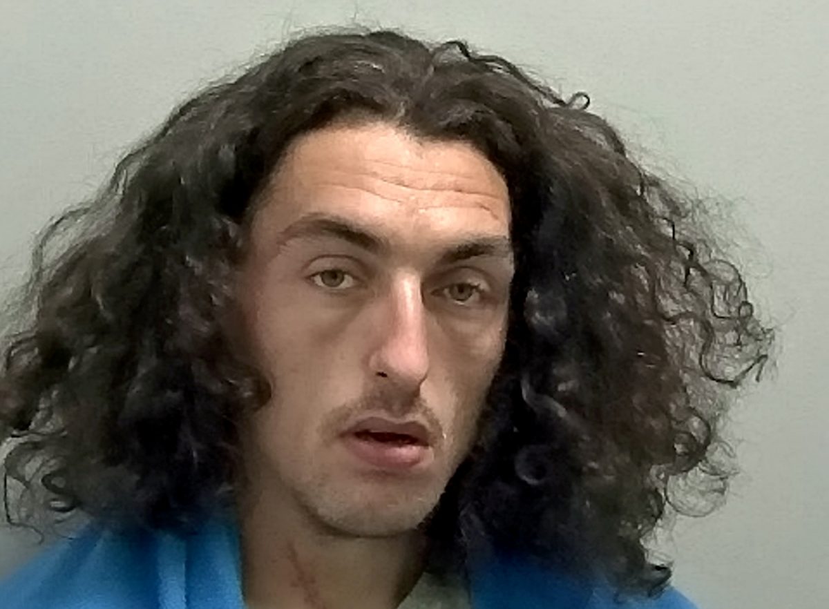 Wild-haired fugitive thief compared Sideshow Bob mocked online