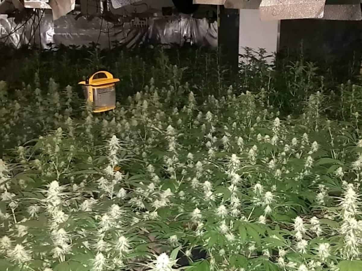 Police raided old ice cream shop and found it had been turned into drugs factory