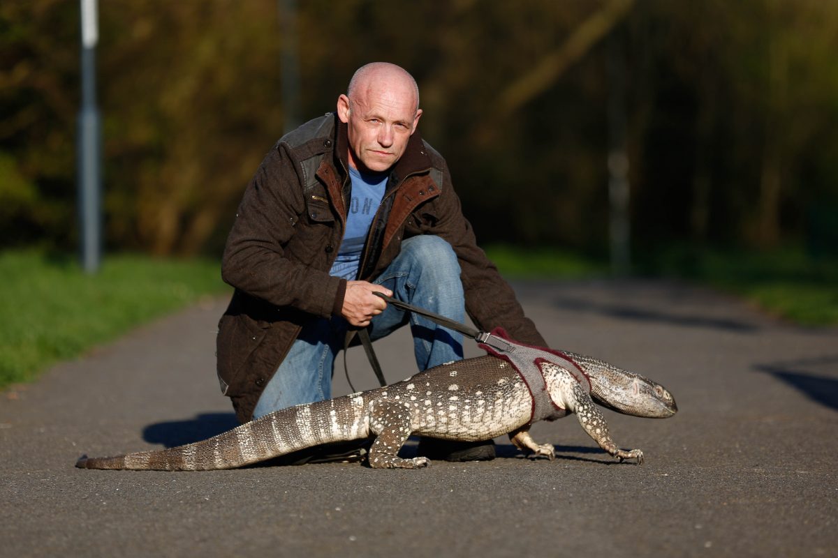 Lizard banned from park is now allowed to enter on condition his owner keeps him on lead