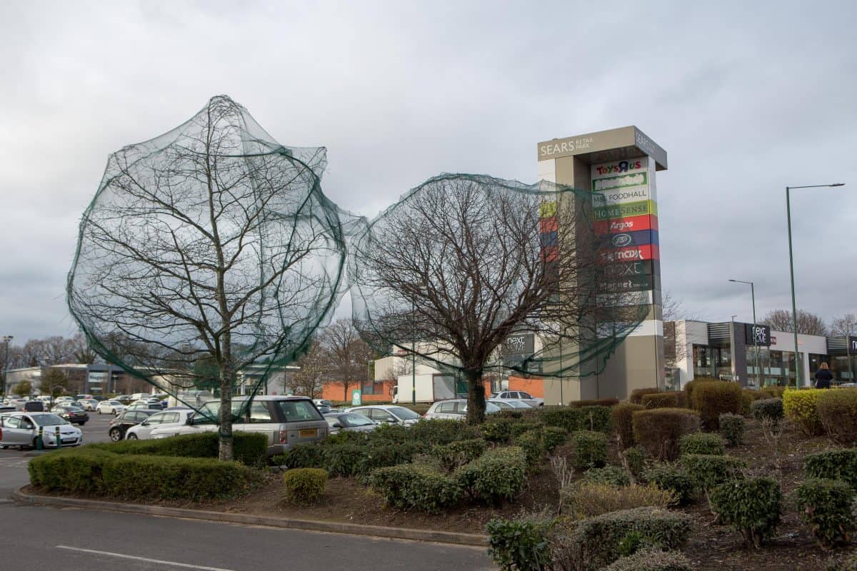 Environmental campaigners outraged after nets put over trees to stop birds nesting near retail park