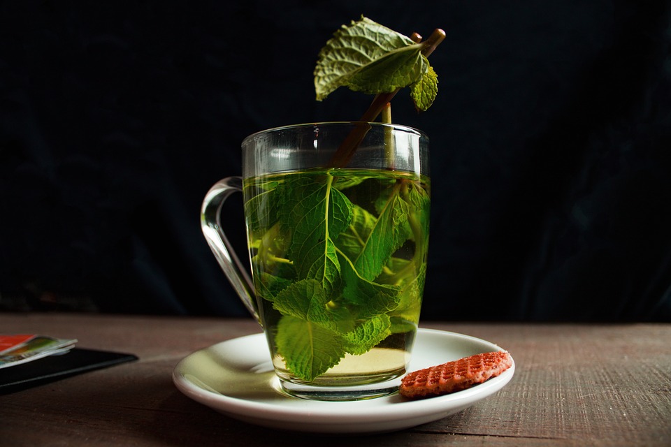 Drinking green tea daily might prevent fat gain and improve overall gut health