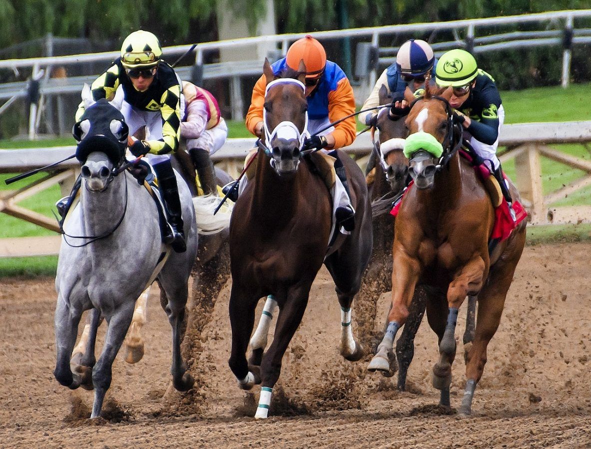 April races at Kempton and Sandown