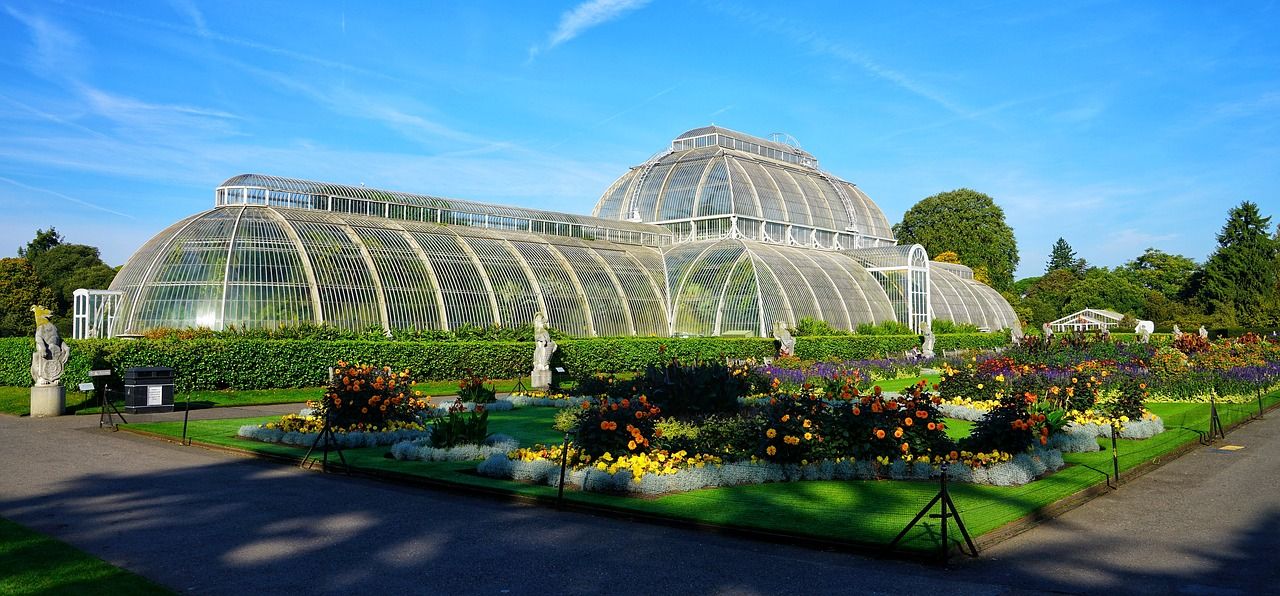 Unique Greenhouse Designs and Why They Are Important for Your Garden