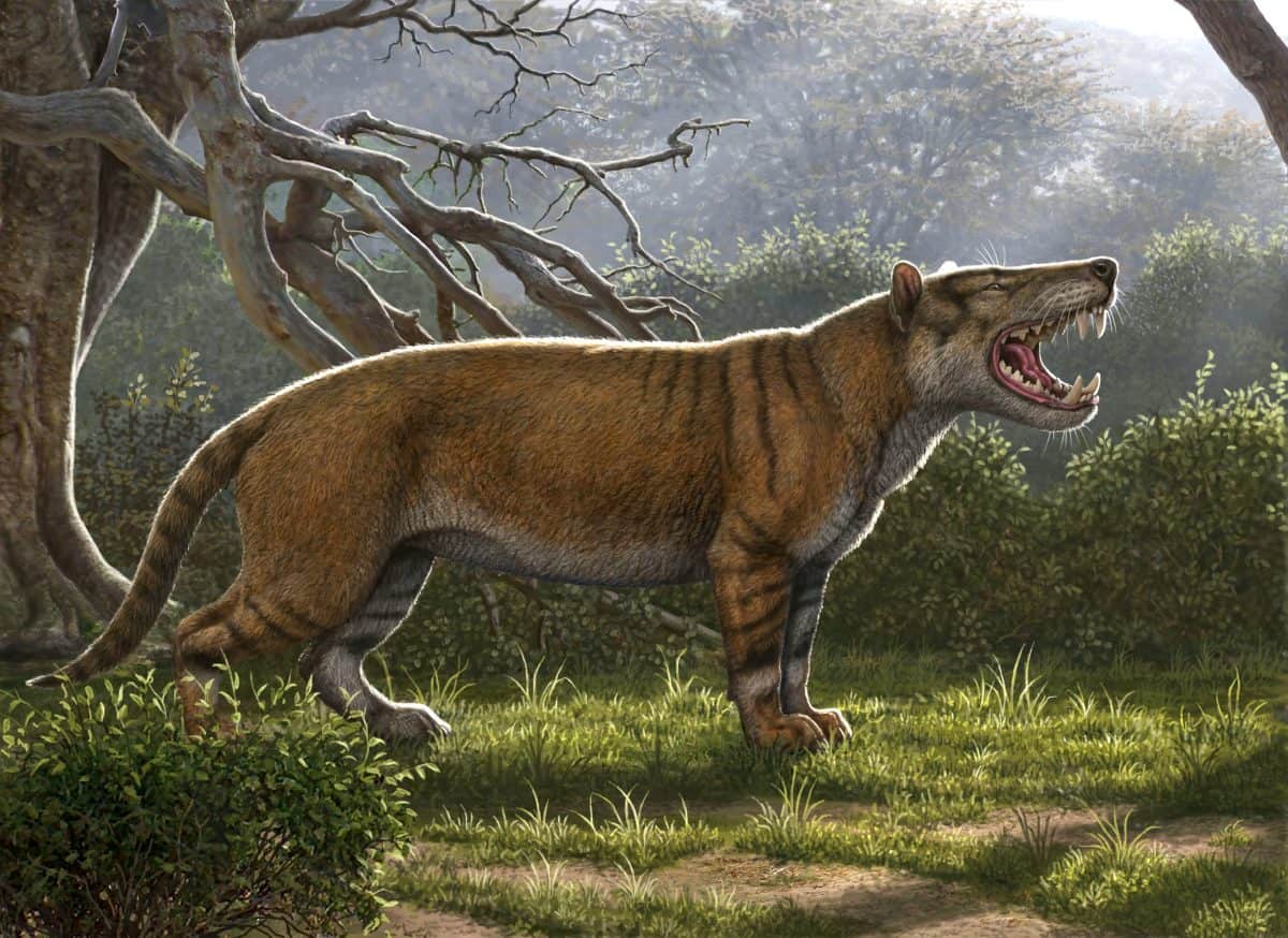 Meat-eating beast larger than polar bear with skull bigger than rhinoceros once roamed Eastern Africa