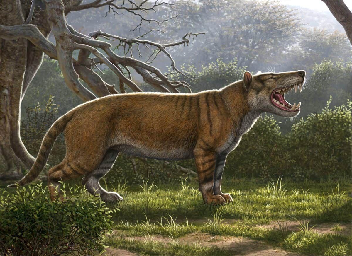 Meat-eating beast larger than polar bear with skull bigger than rhinoceros once roamed Eastern Africa