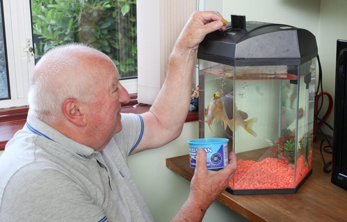 Keith with George - UK's oldest goldfish (c) SWNS