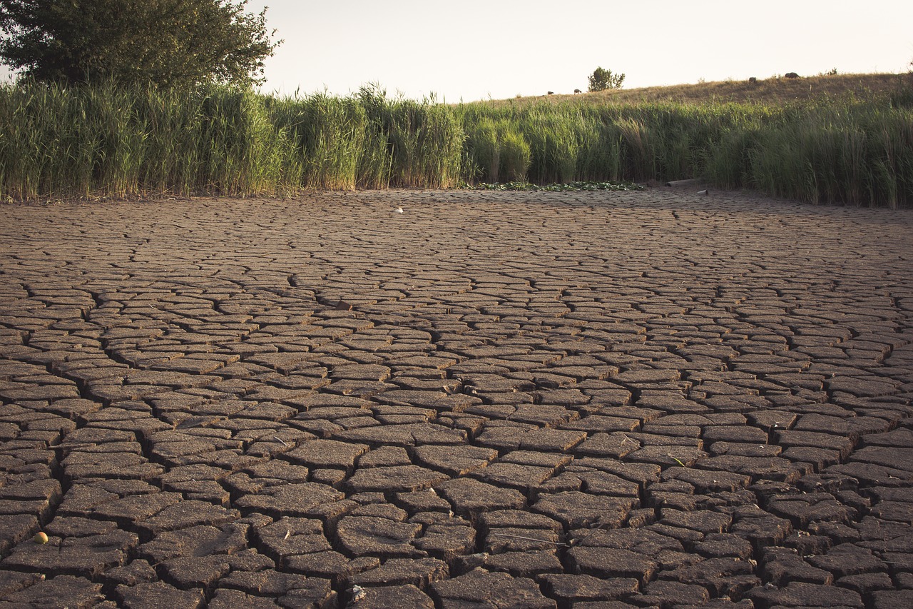 The Devastating Effects of Water Scarcity on Nature and Humanity
