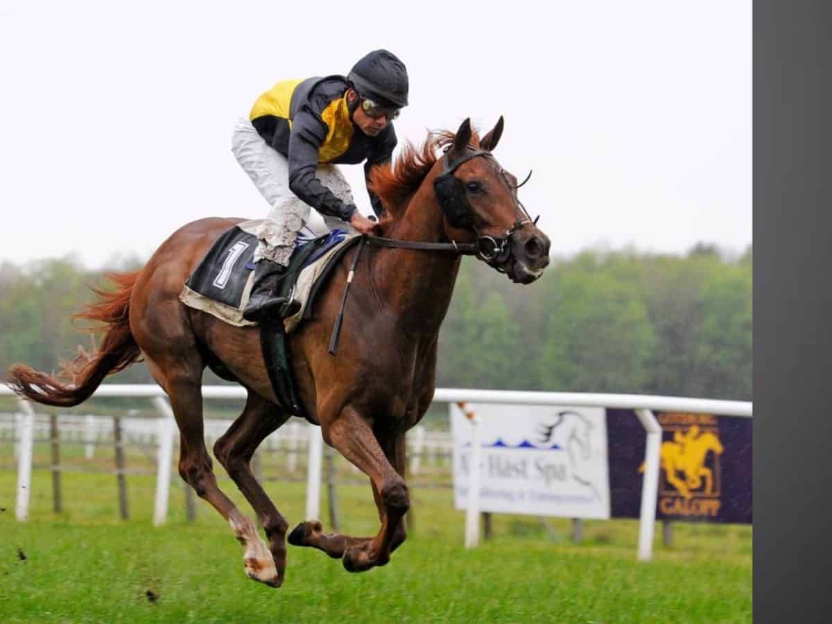 Will Altior Make the Leap to Three Miles?